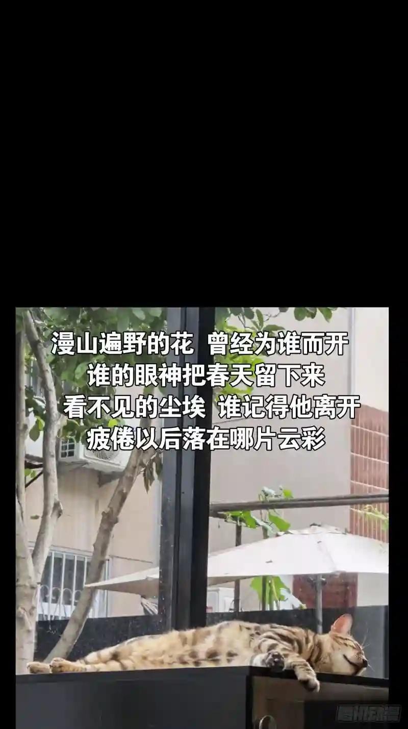 第二百二十九章\/第二场上