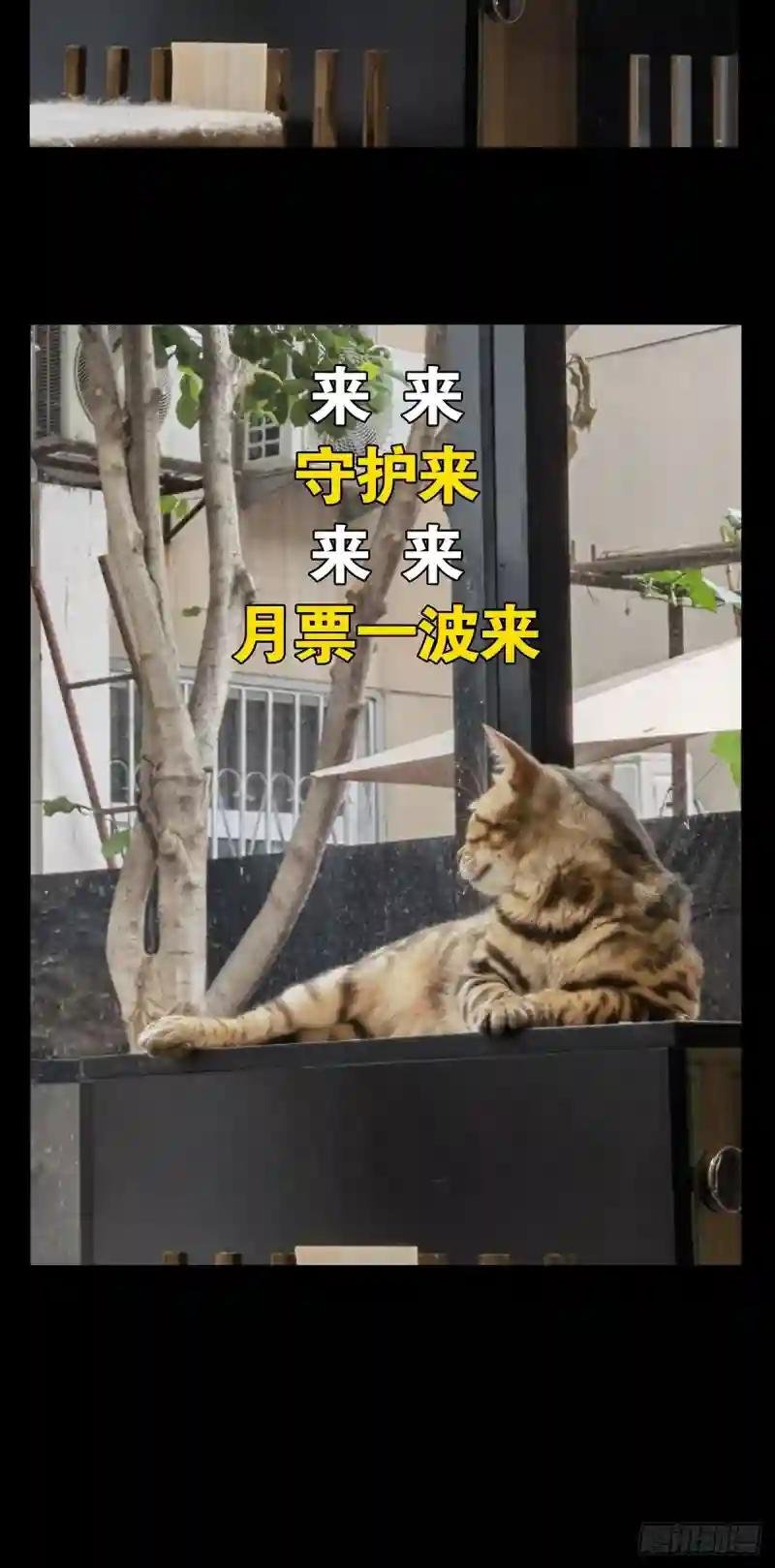 第二百二十九章\/第二场上