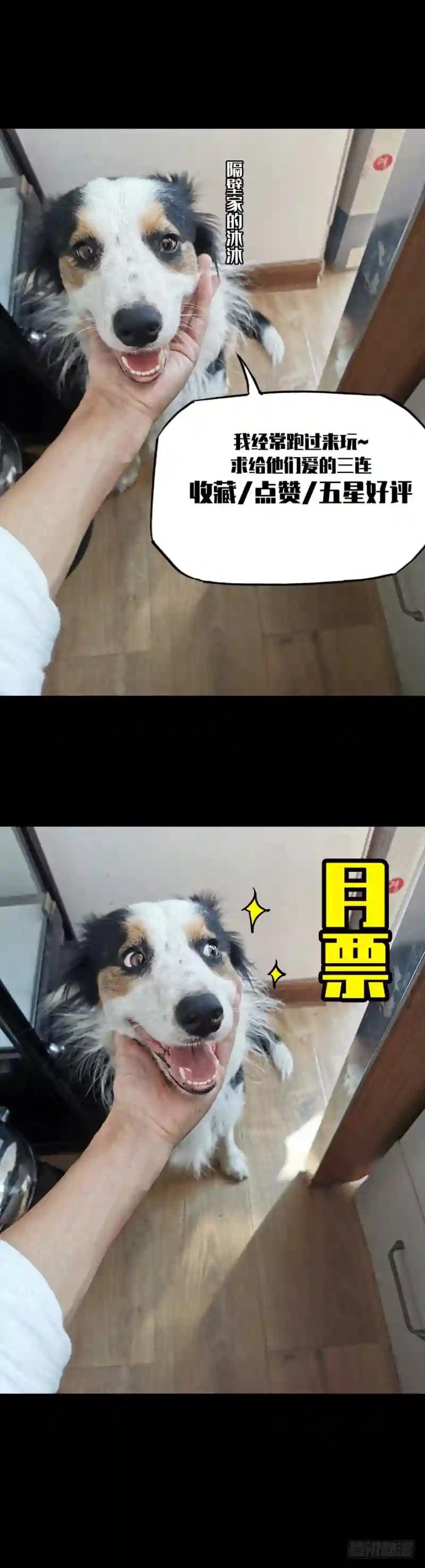 第二十四章\/命数中
