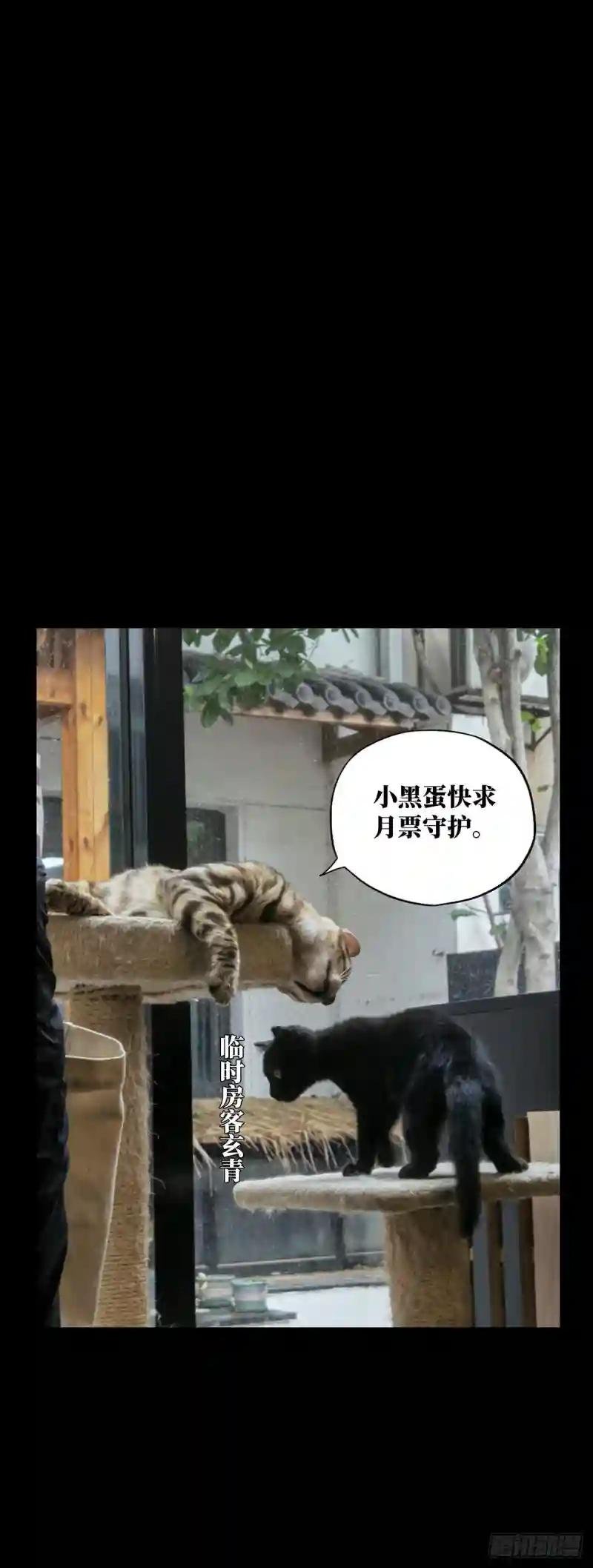 第二百三十三章\/小巫主中