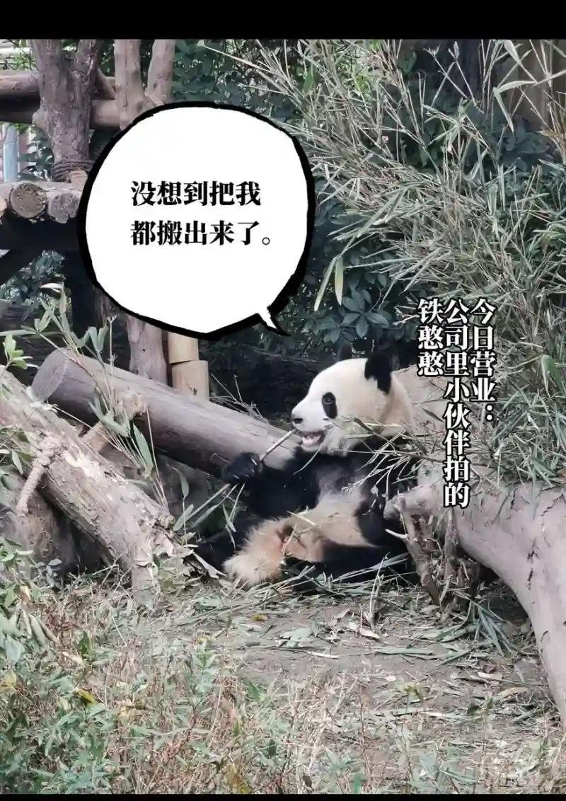 第二十五章\/命数下