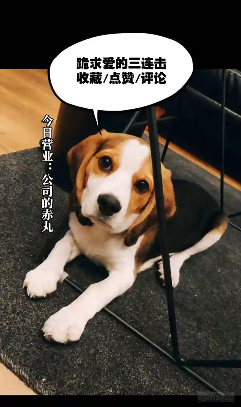 第二十六章\/封存上