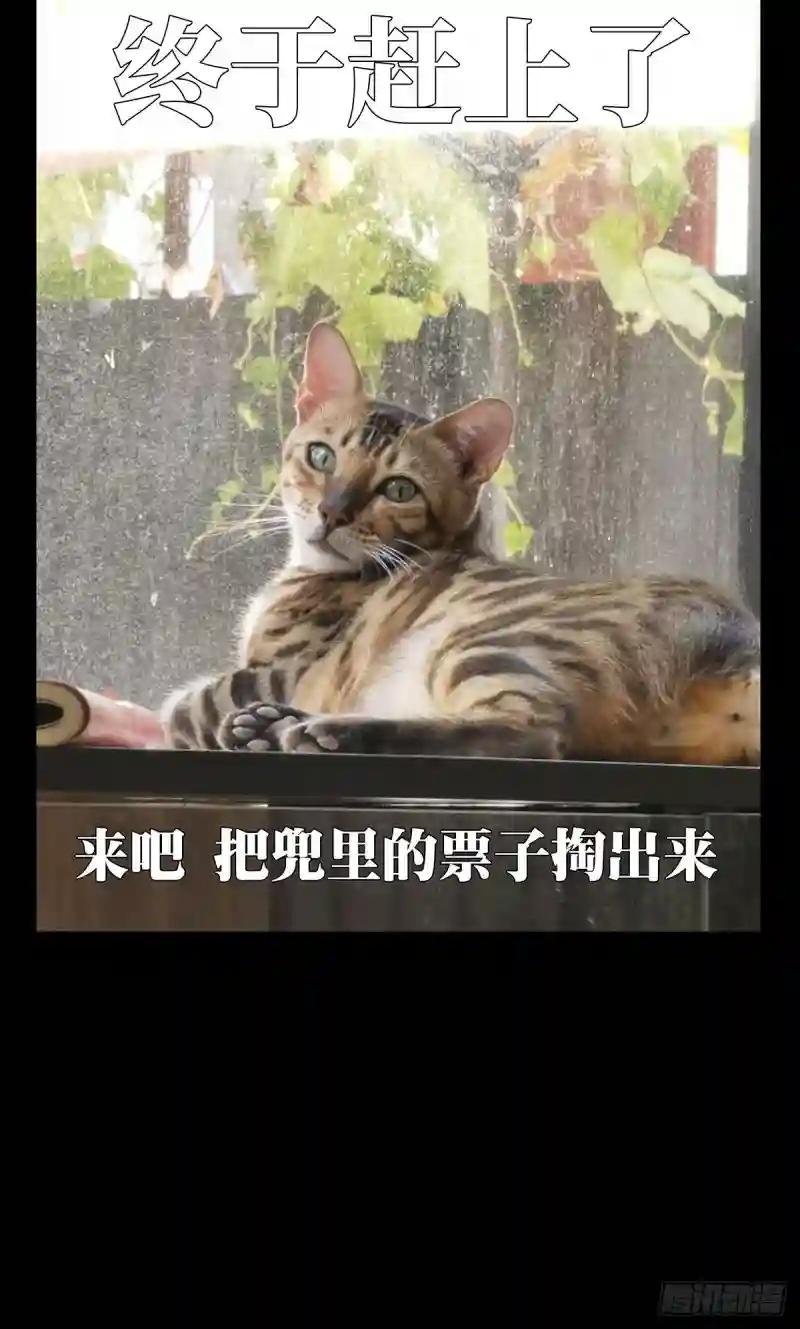 第二百五十五章\/决赛开始下