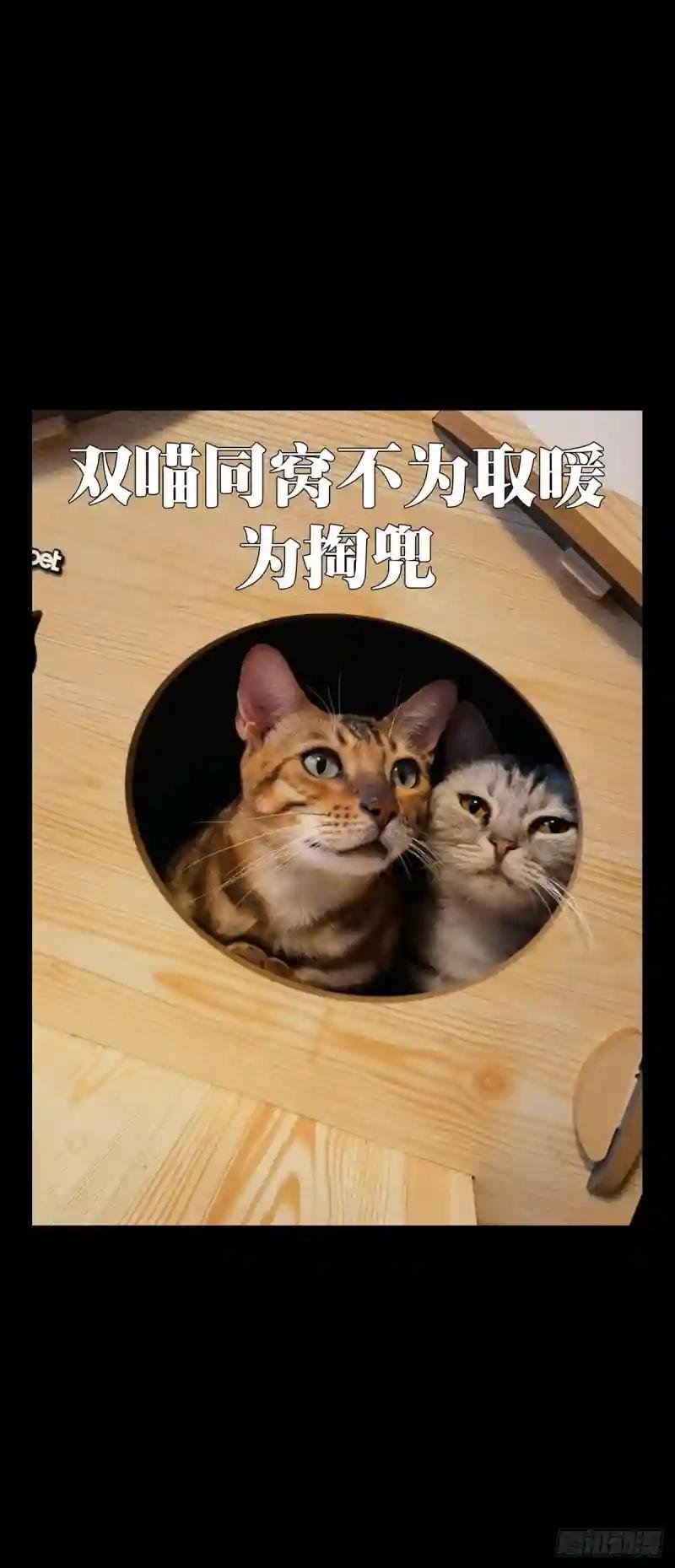 第二百六十章\/内鬼中