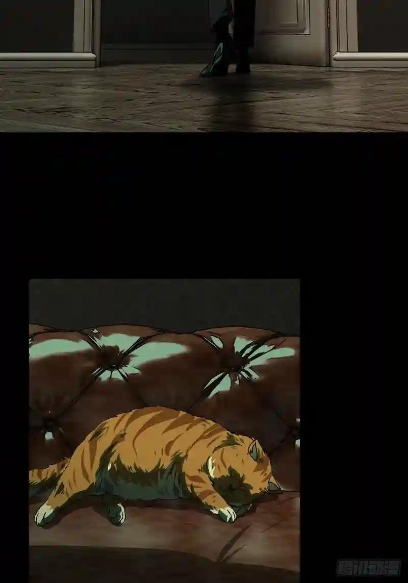 第二百六十四章\/决赛开始下