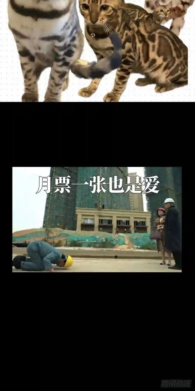 第二百九十章\/目标中