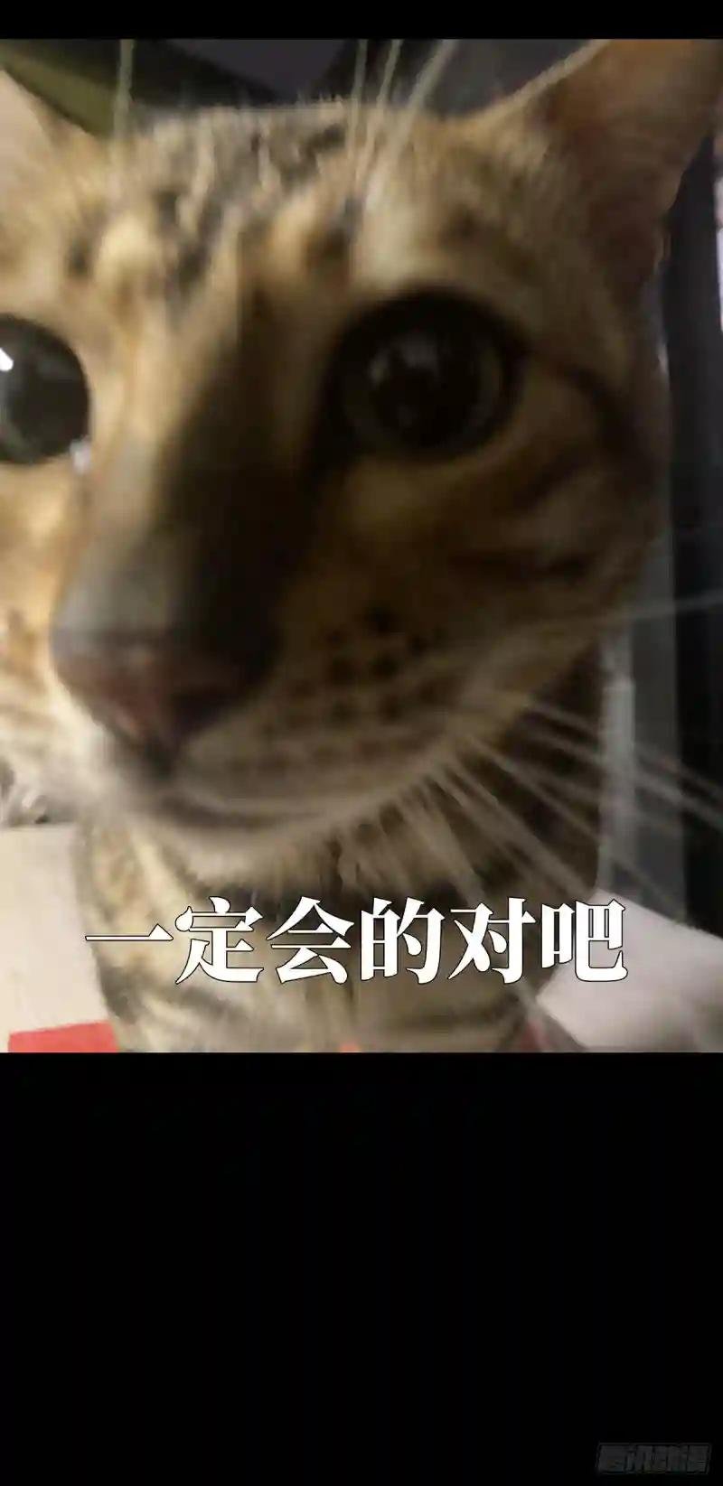 第二百九十一章\/目标下
