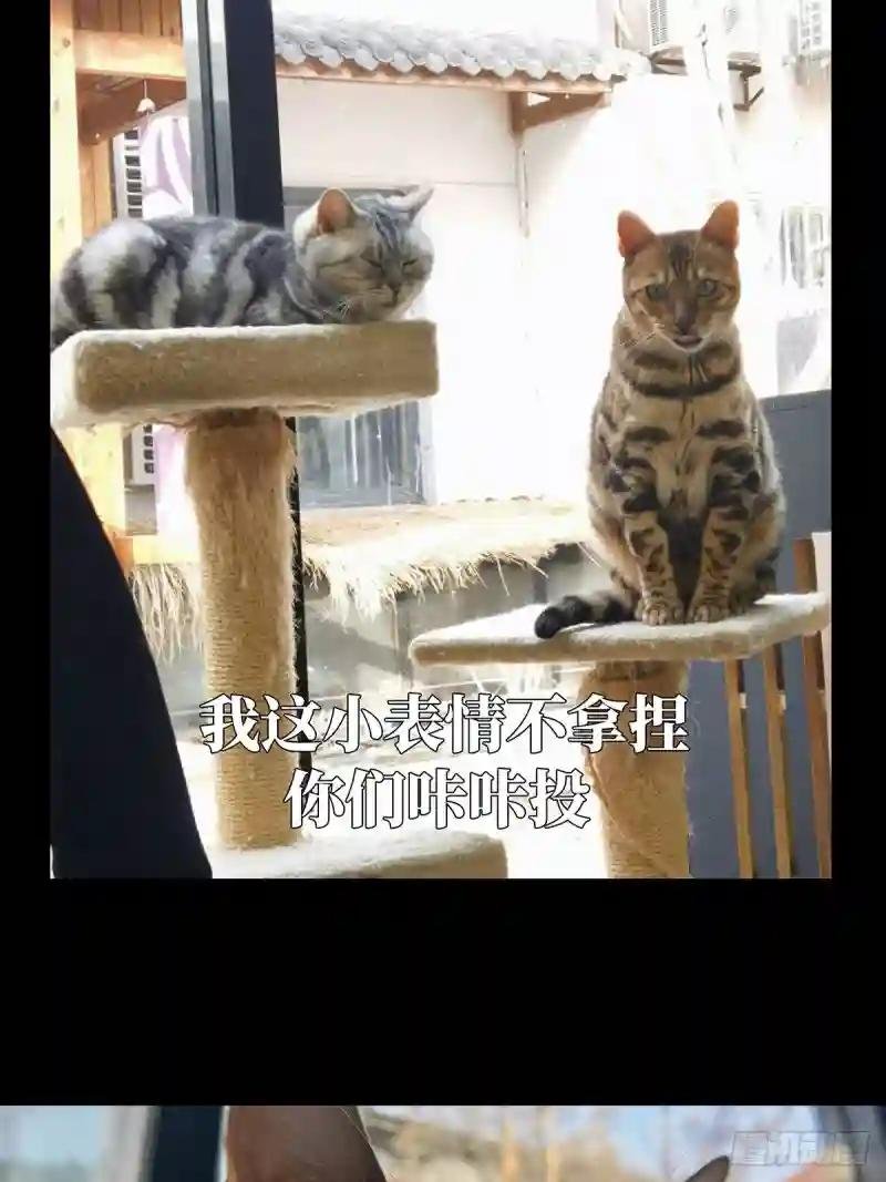 第二百九十三章\/入侵中