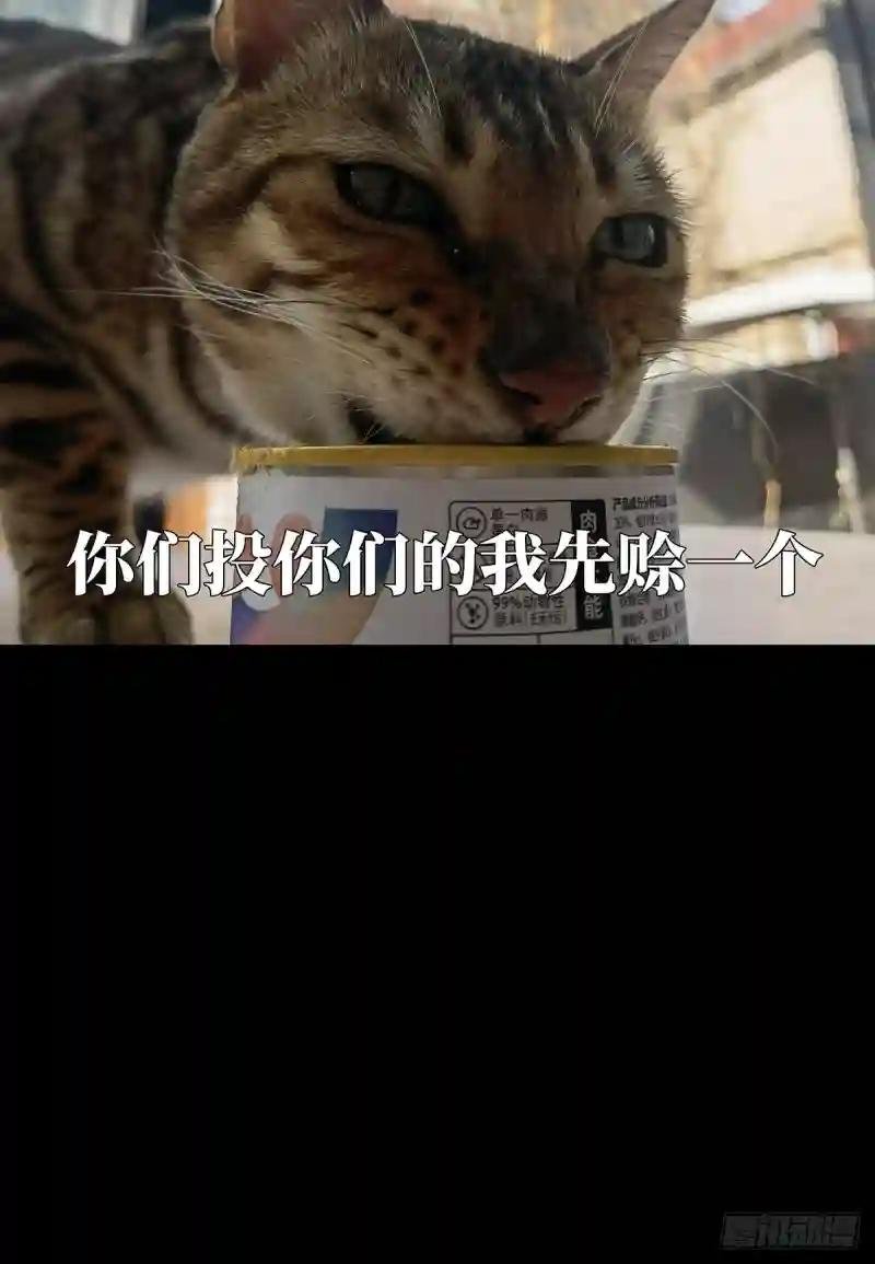 第二百九十三章\/入侵中
