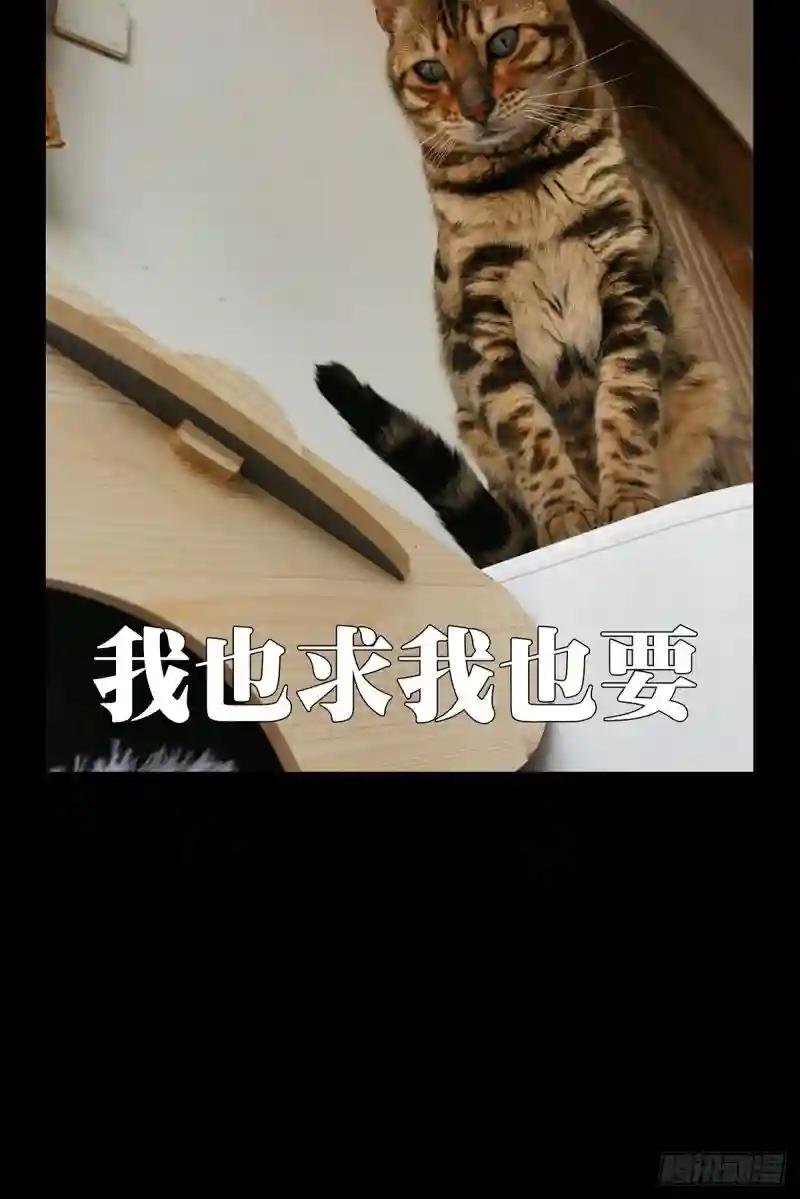 第三百章\/怒火下