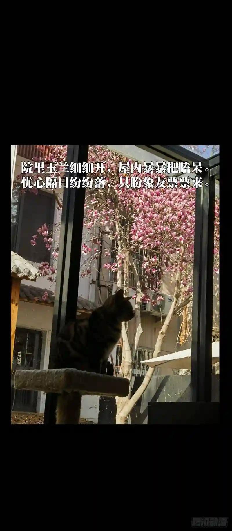 第三百一十章\/金蝉脱壳上