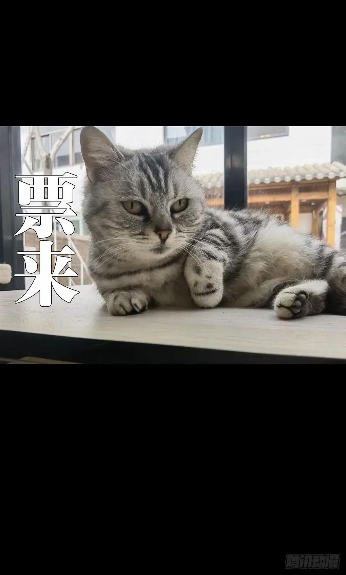 第三百一十七章\/宿命中