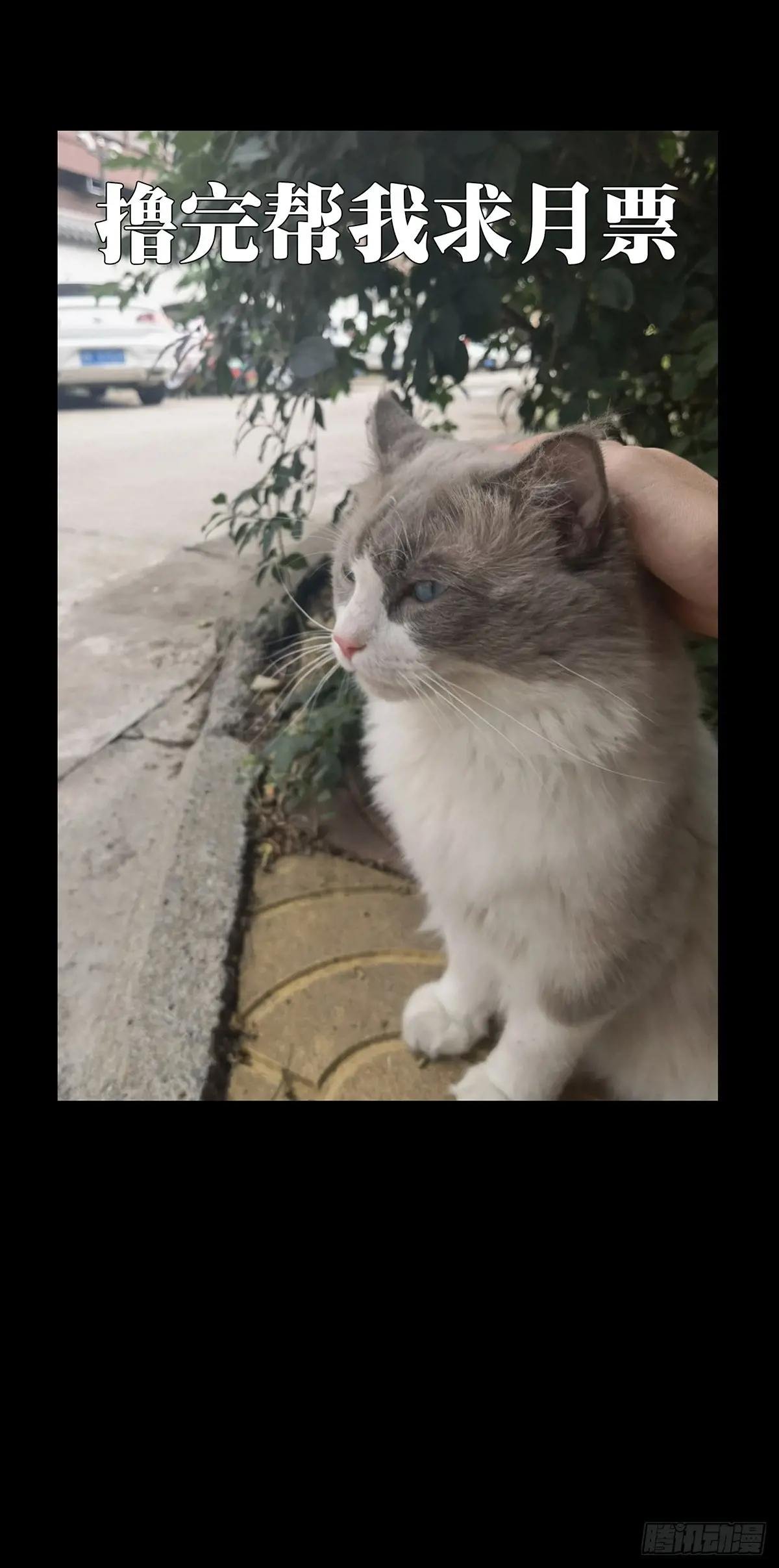 第三百二十五章\/活下去中