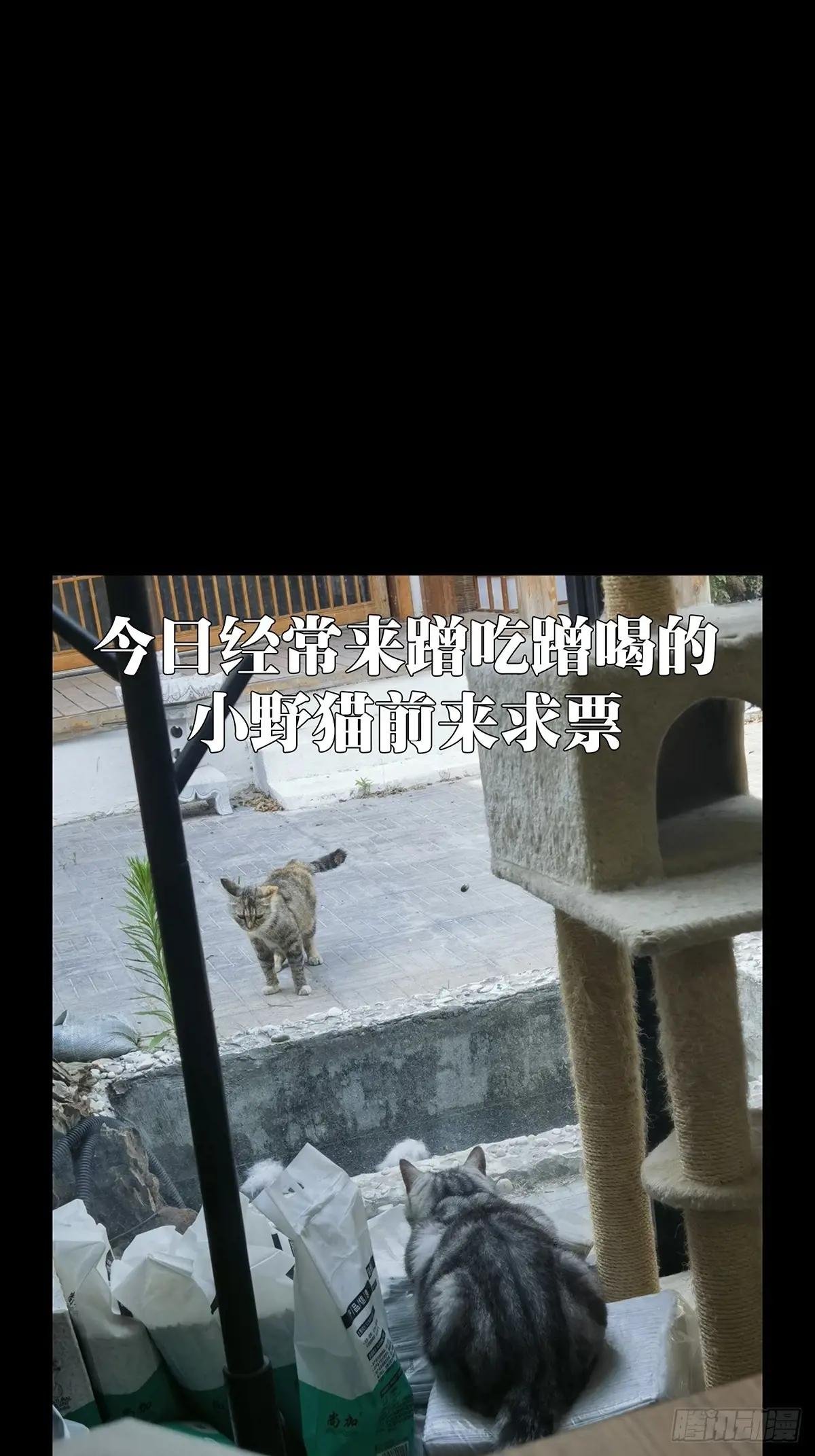第三百二十八章\/神中