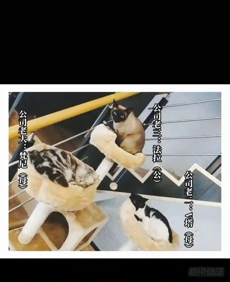 第三十五章\/考验上