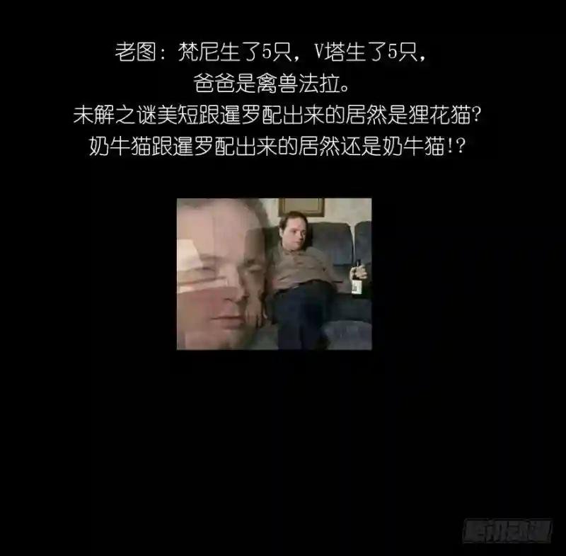 第三十八章\/洗砚古宅上