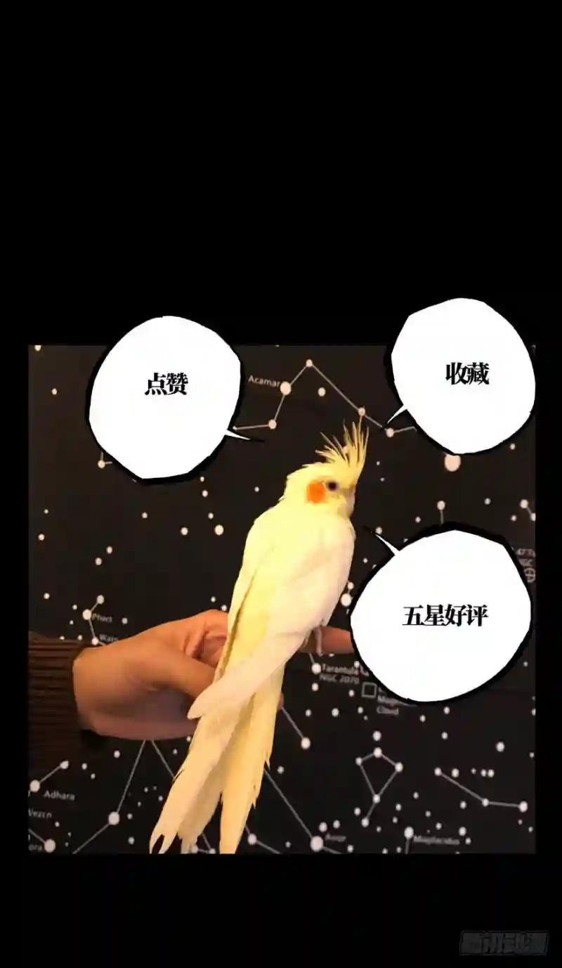 第三十九章\/洗砚古宅中