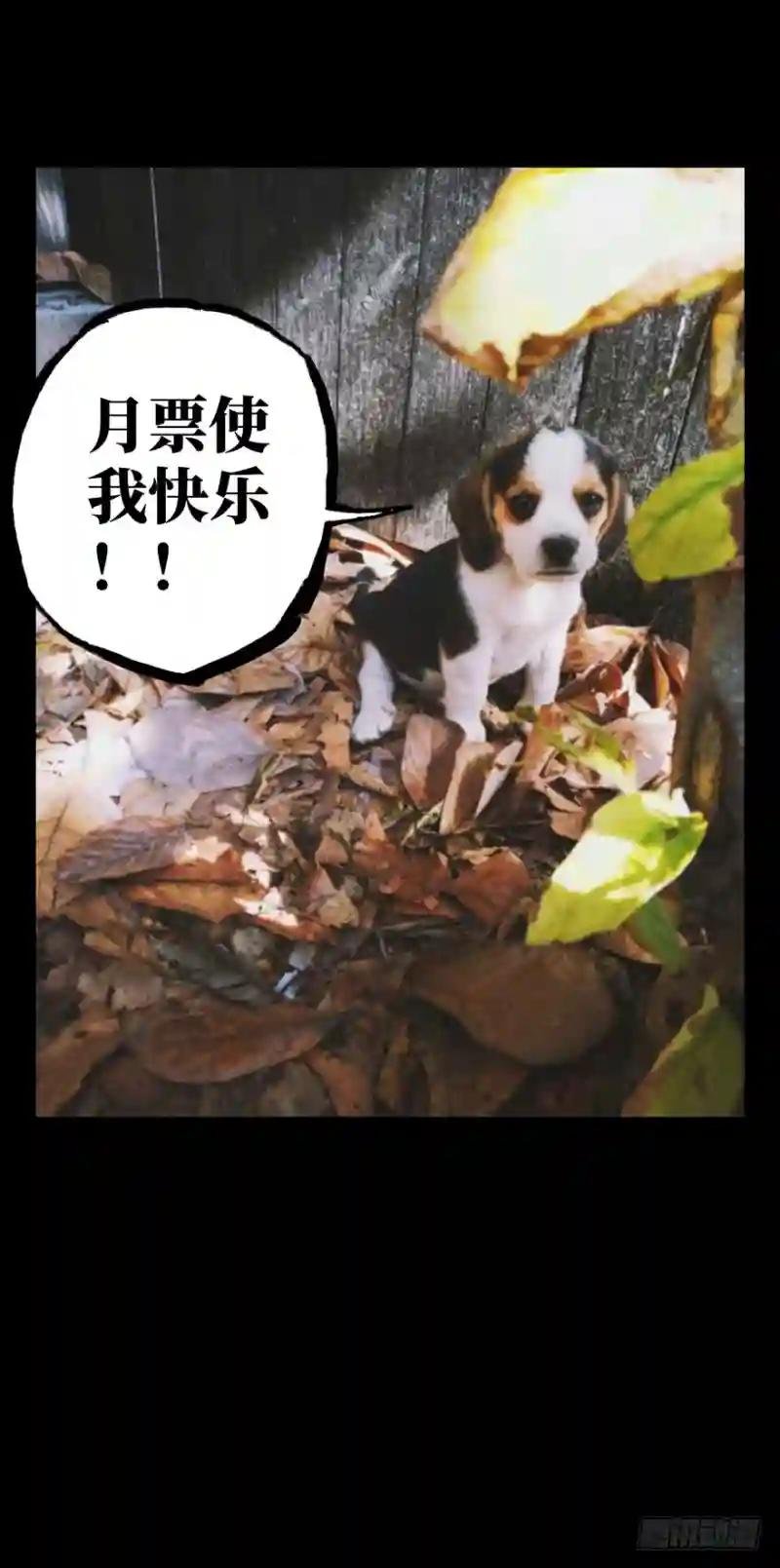 第四十章\/洗砚古宅下