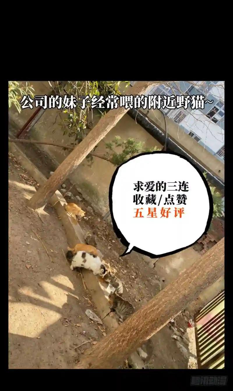 第四十一章\/看门者上