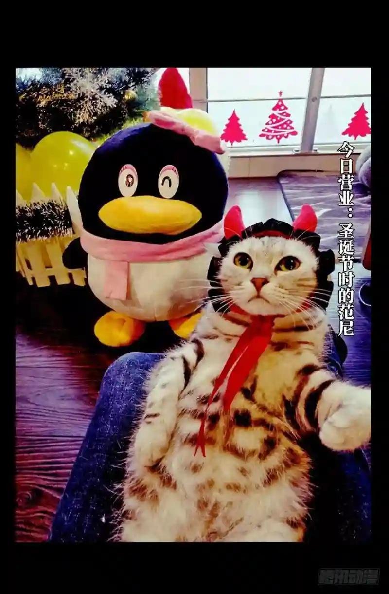 第四十四章\/悲剧上