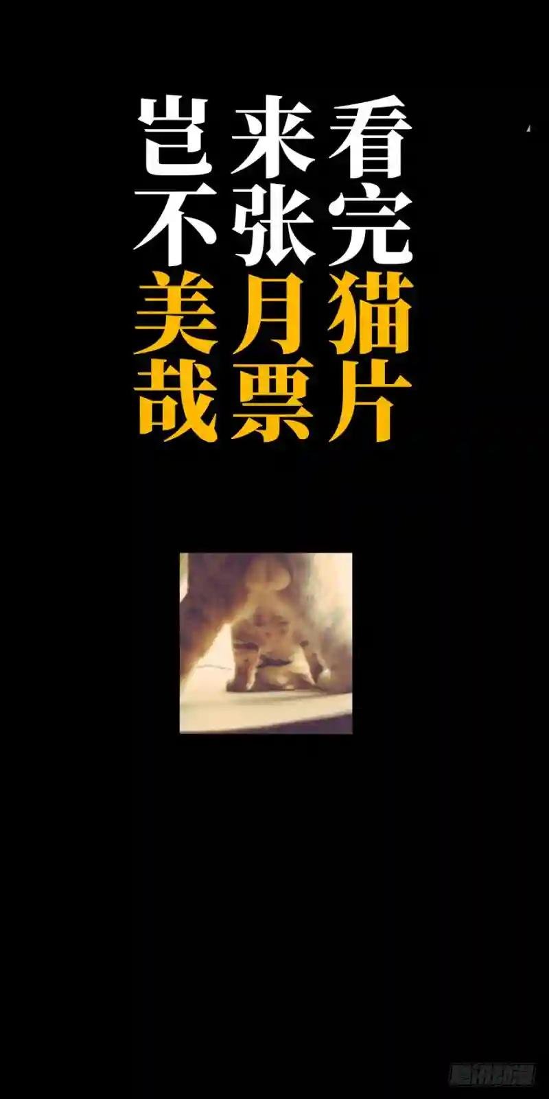 第四十四章\/悲剧上