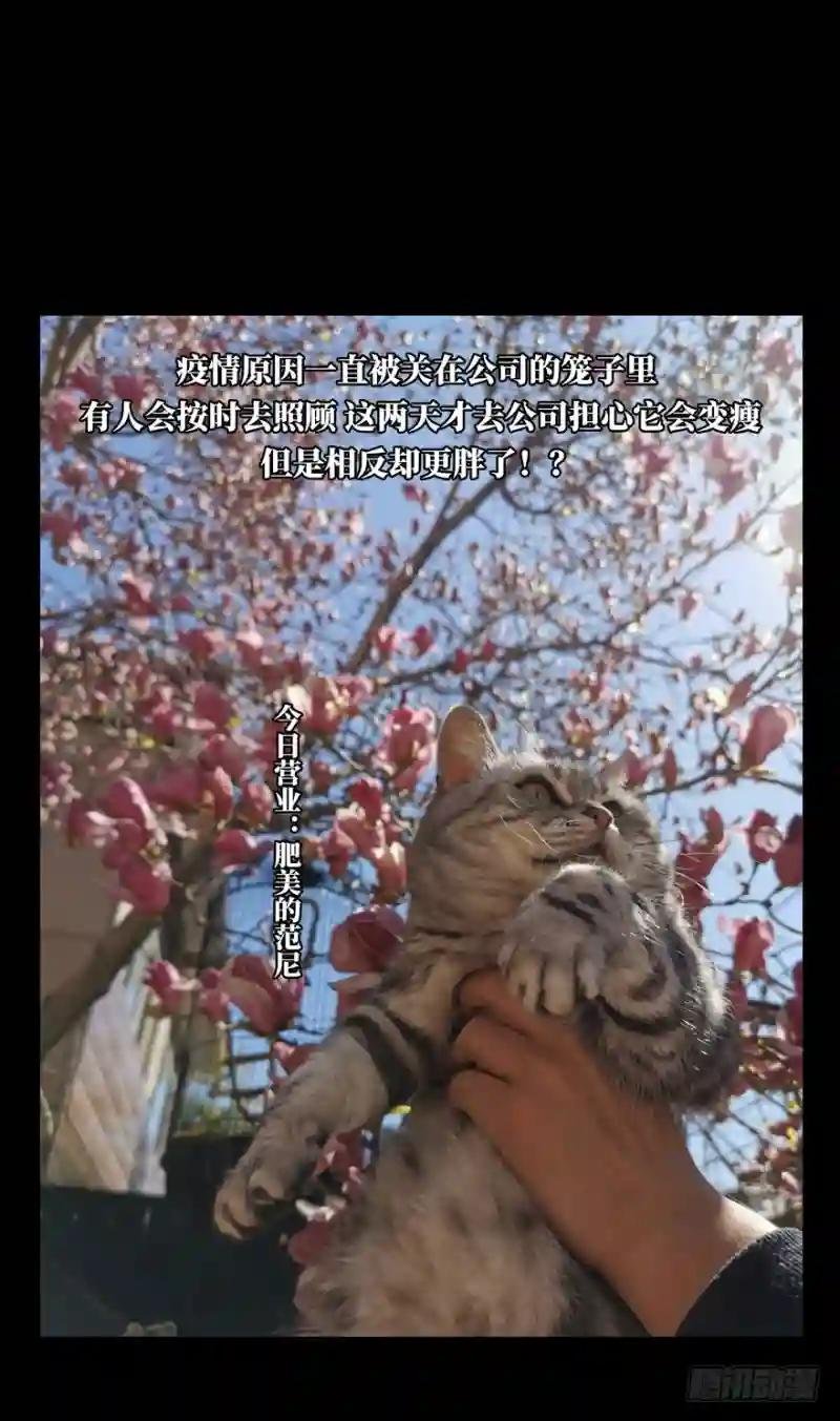 第四十五章\/悲剧中