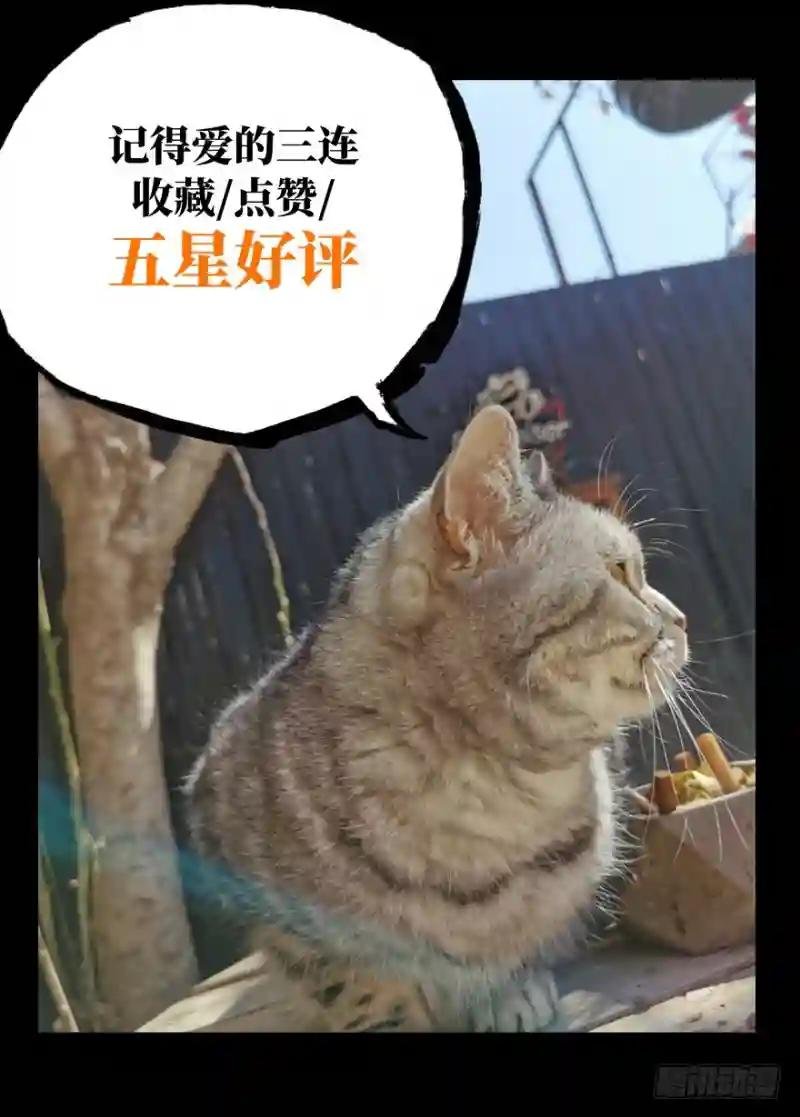 第四十五章\/悲剧中