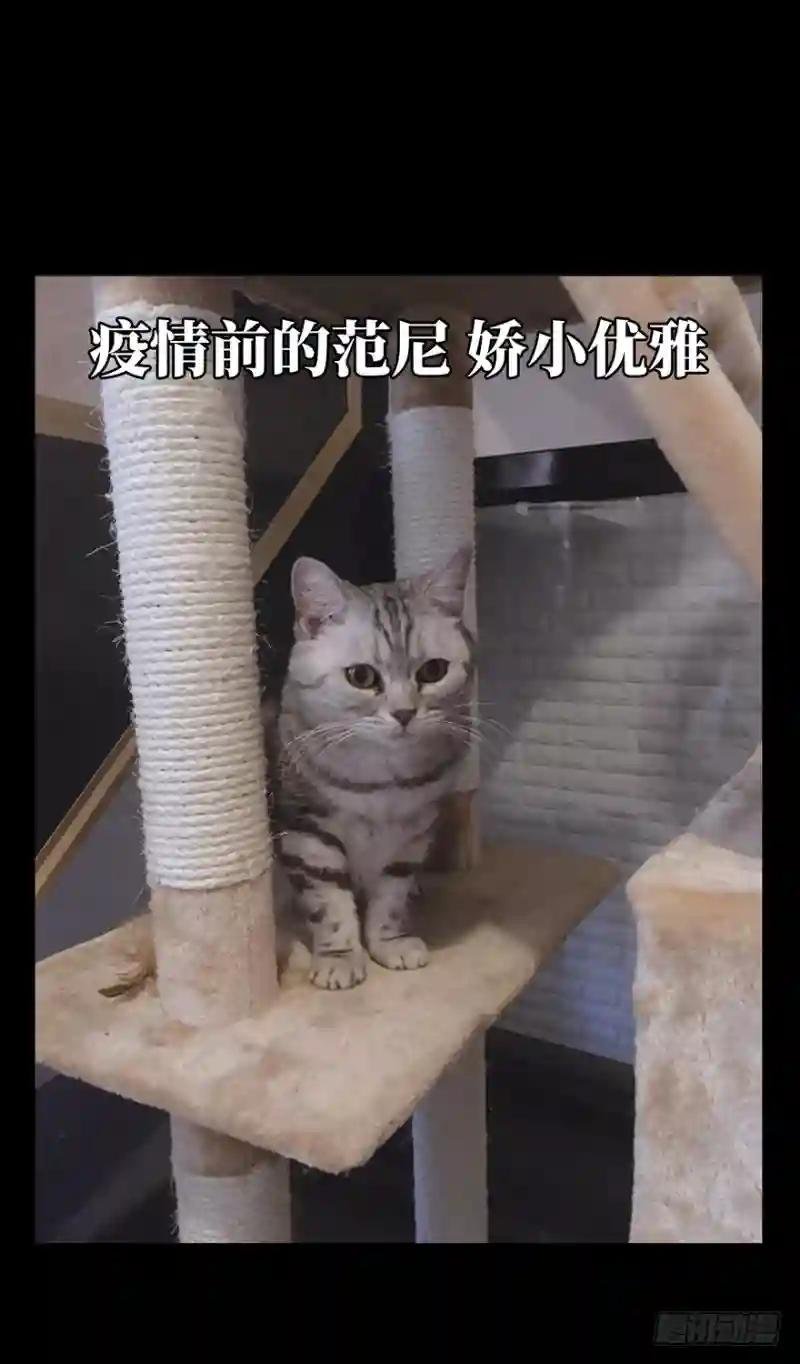 第四十六章\/悲剧下
