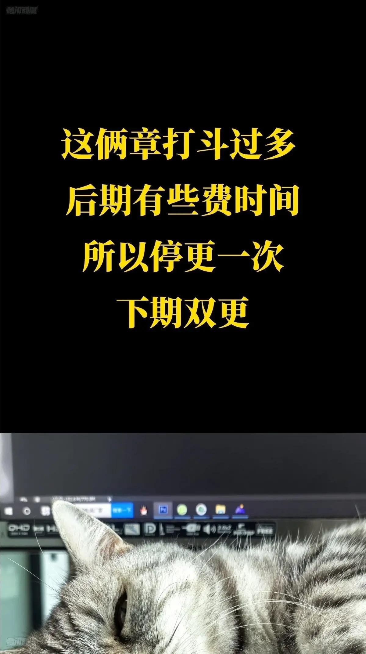 鸽之公告——