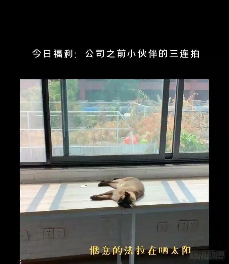 第五十五章\/方仙术士下
