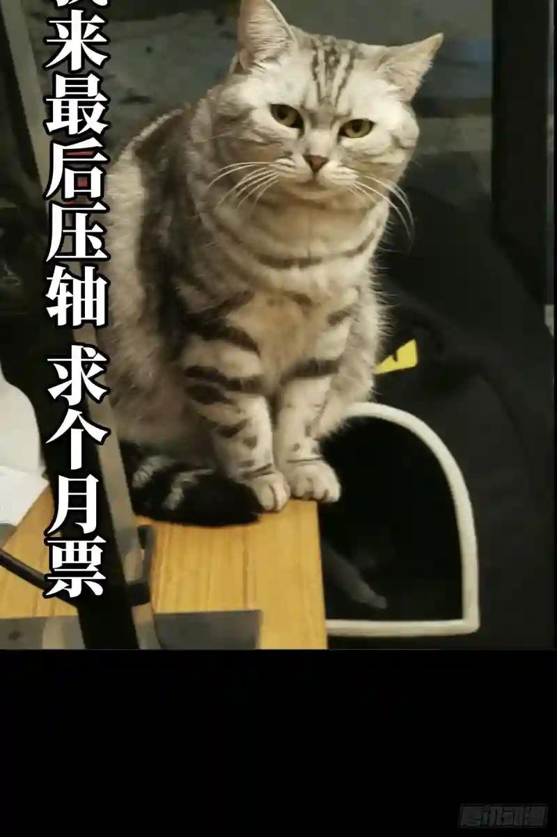 第五十五章\/方仙术士下