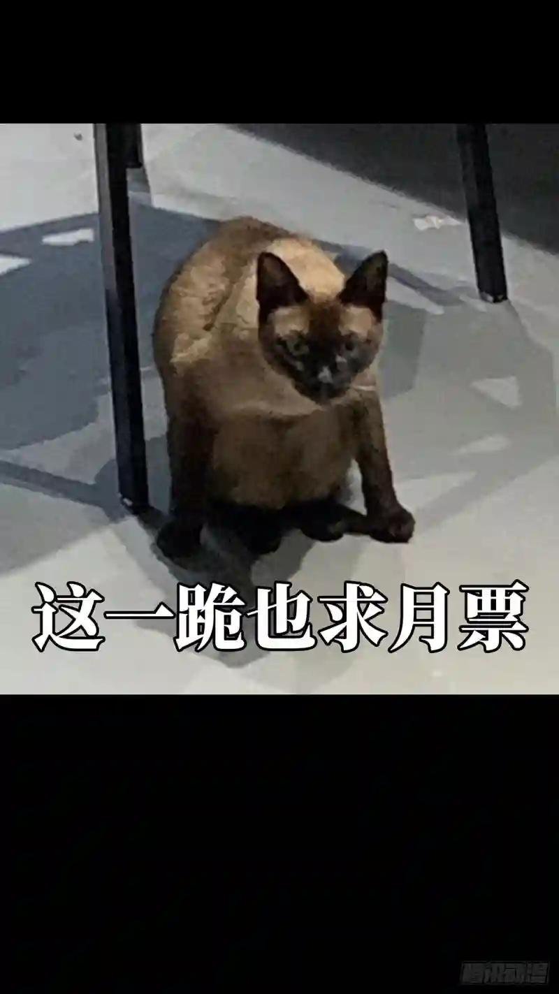 第五十六章\/家上