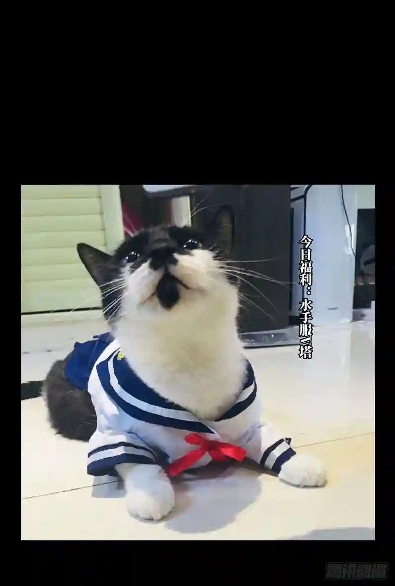 第六十章\/信任中