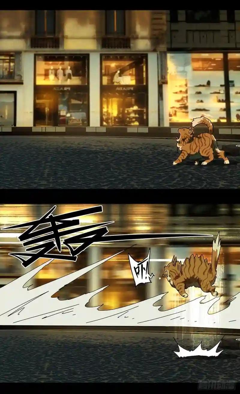 第六十一章\/信任下