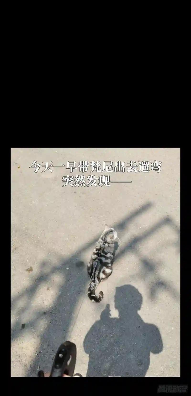 第六十二章\/刀与盾上