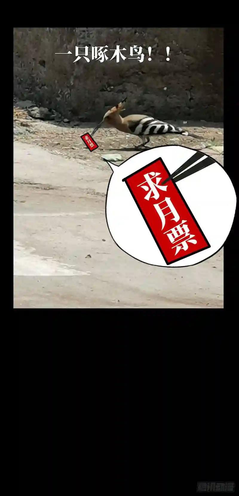 第六十二章\/刀与盾上