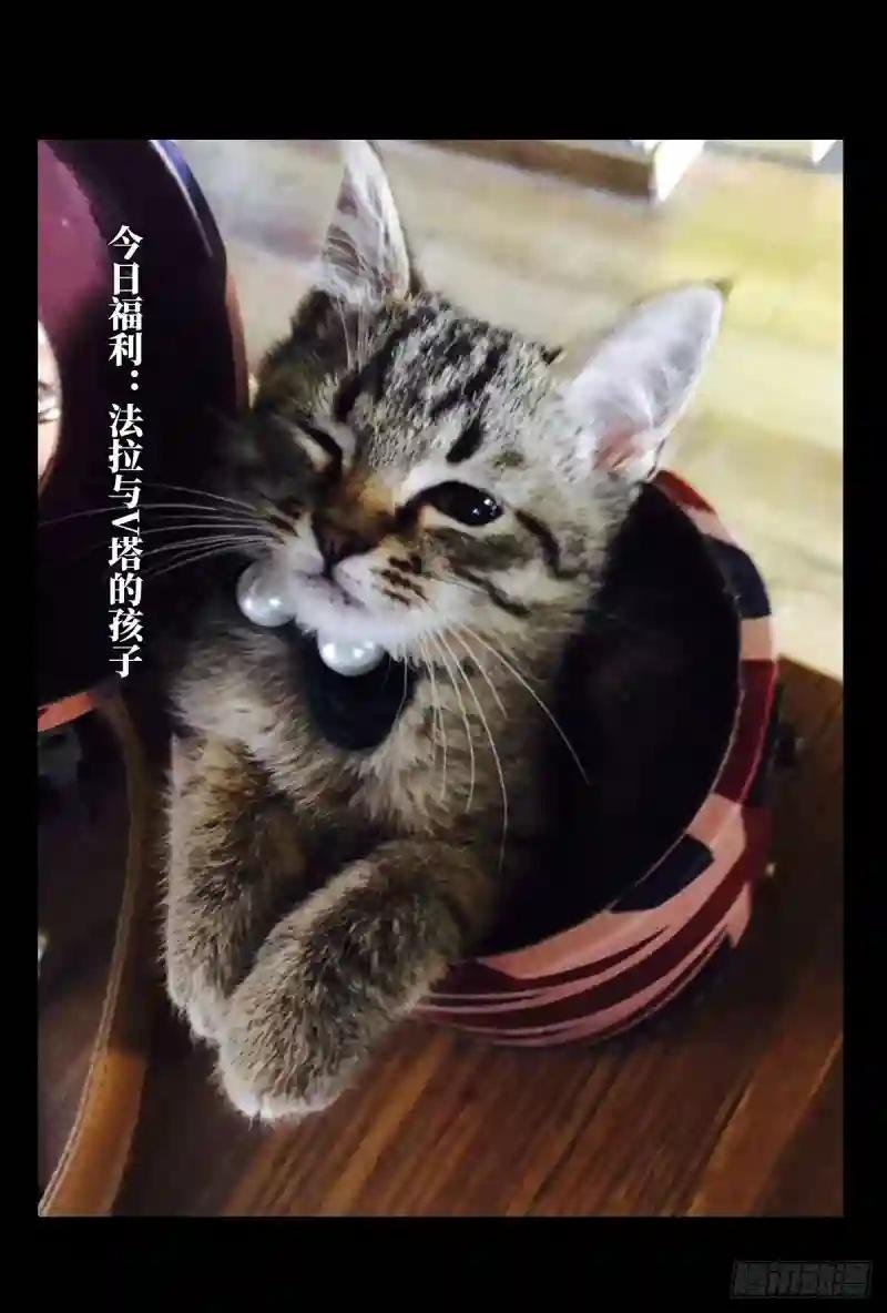 第六十三章\/刀与盾中