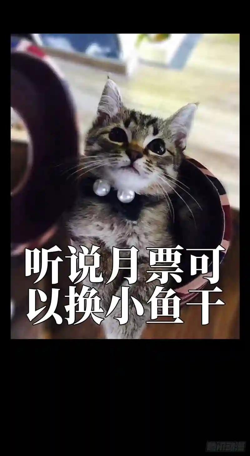 第六十三章\/刀与盾中