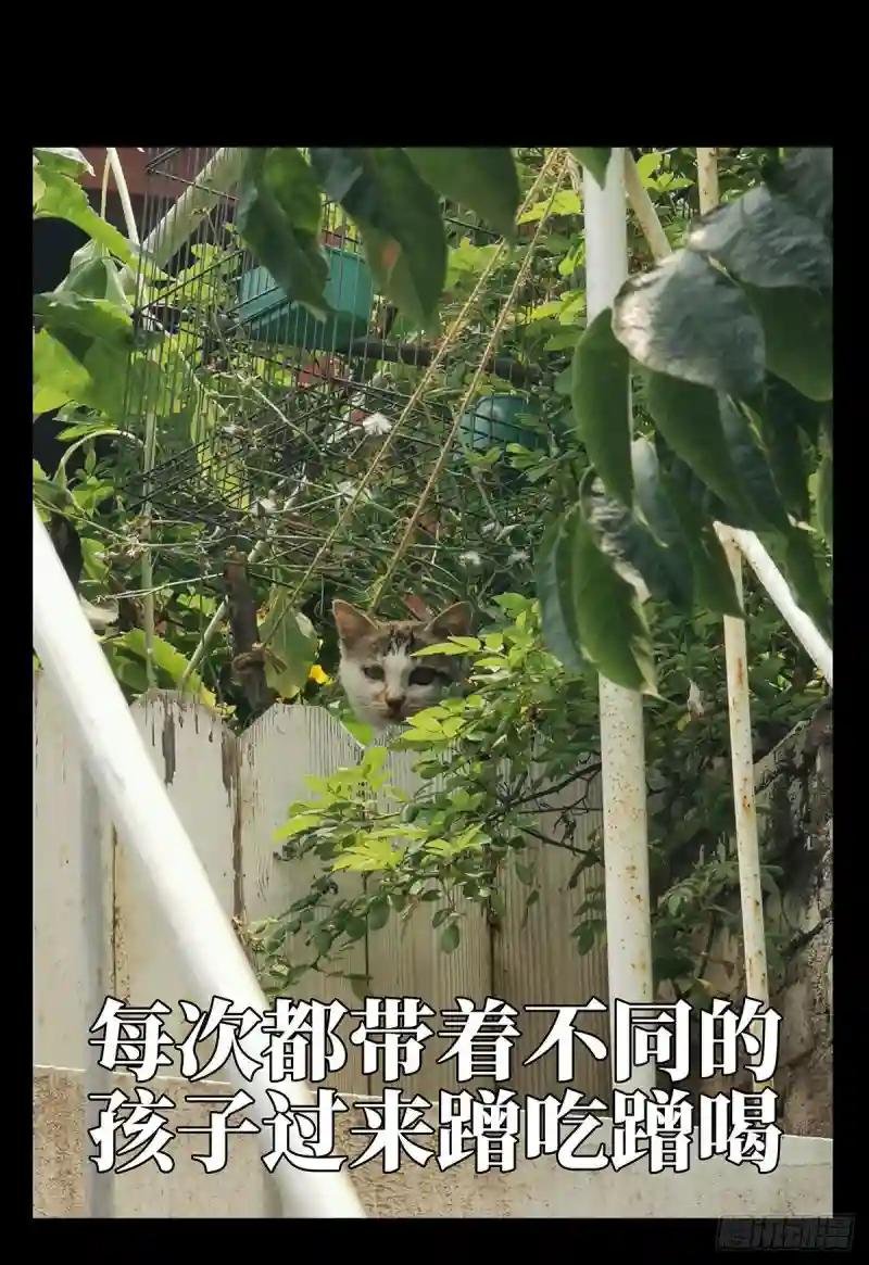 第六十六章\/病态中
