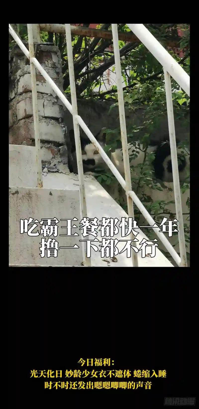 第六十六章\/病态中