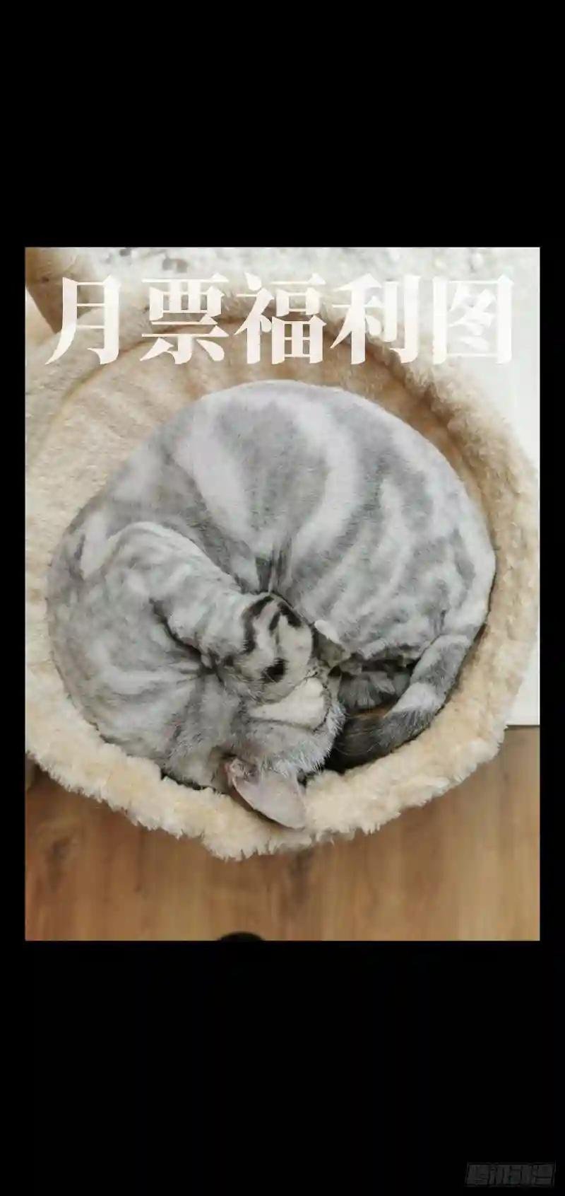 第六十六章\/病态中
