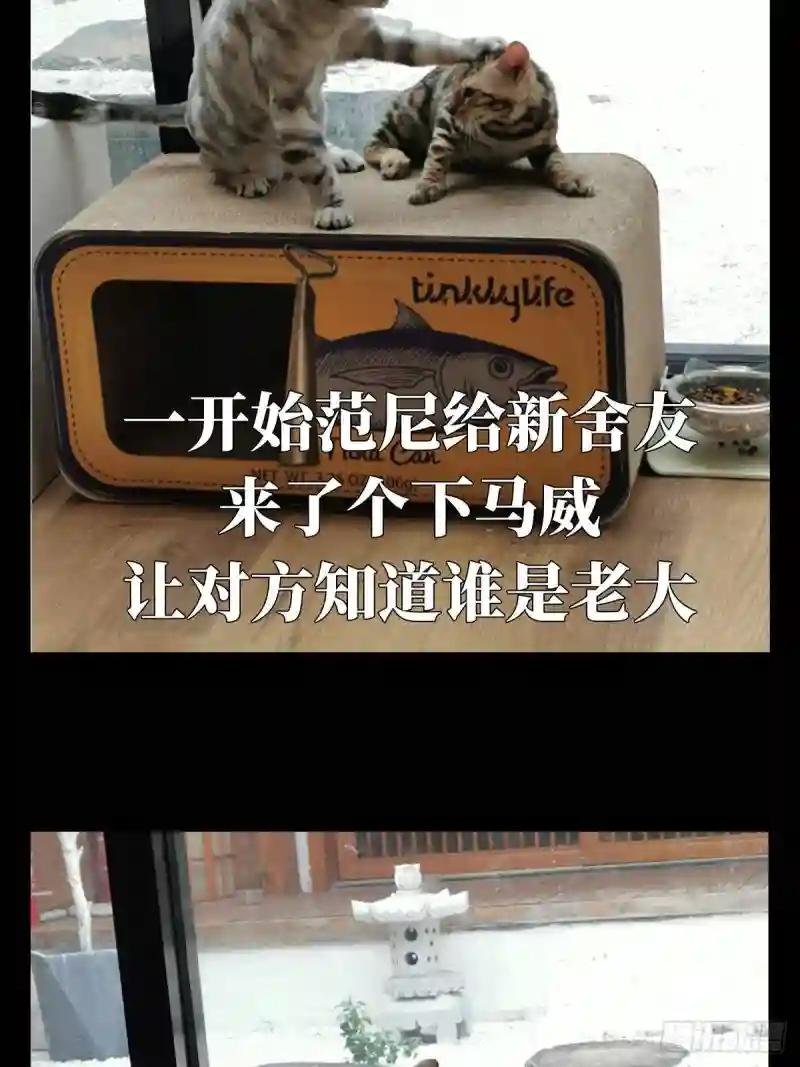 第六十七章\/病态下