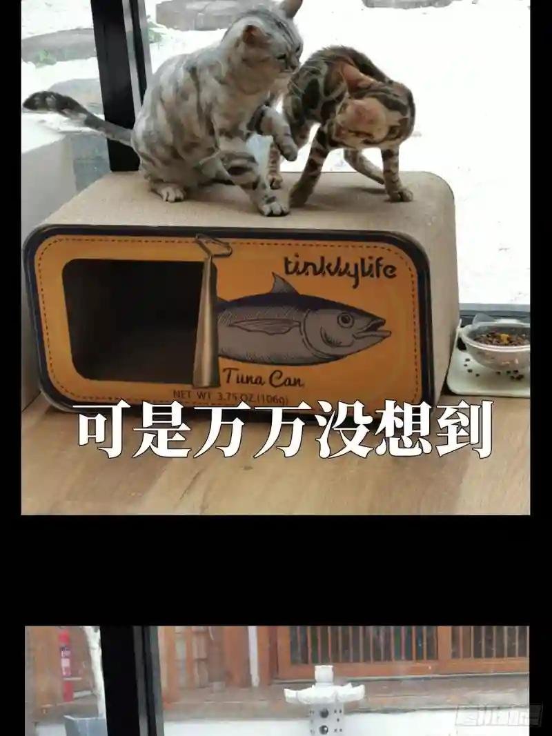 第六十七章\/病态下
