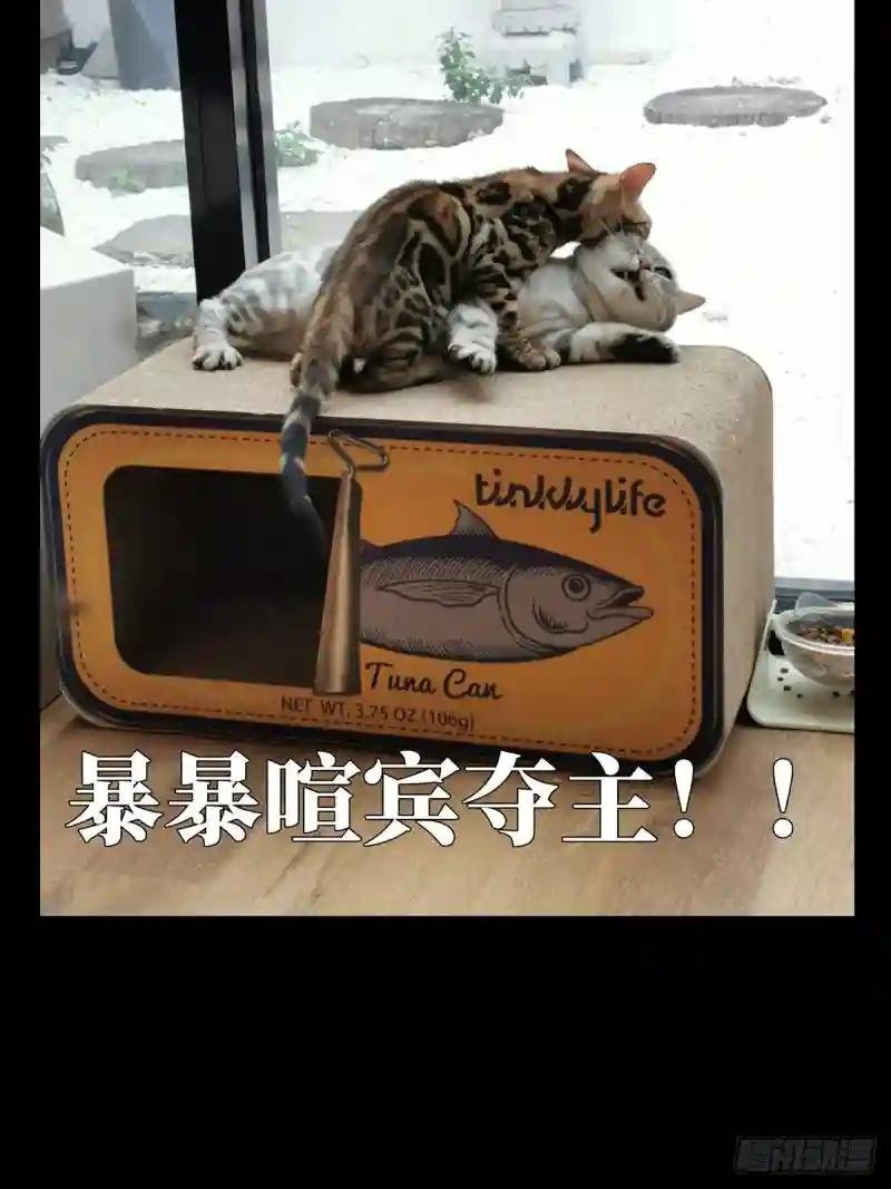 第六十七章\/病态下