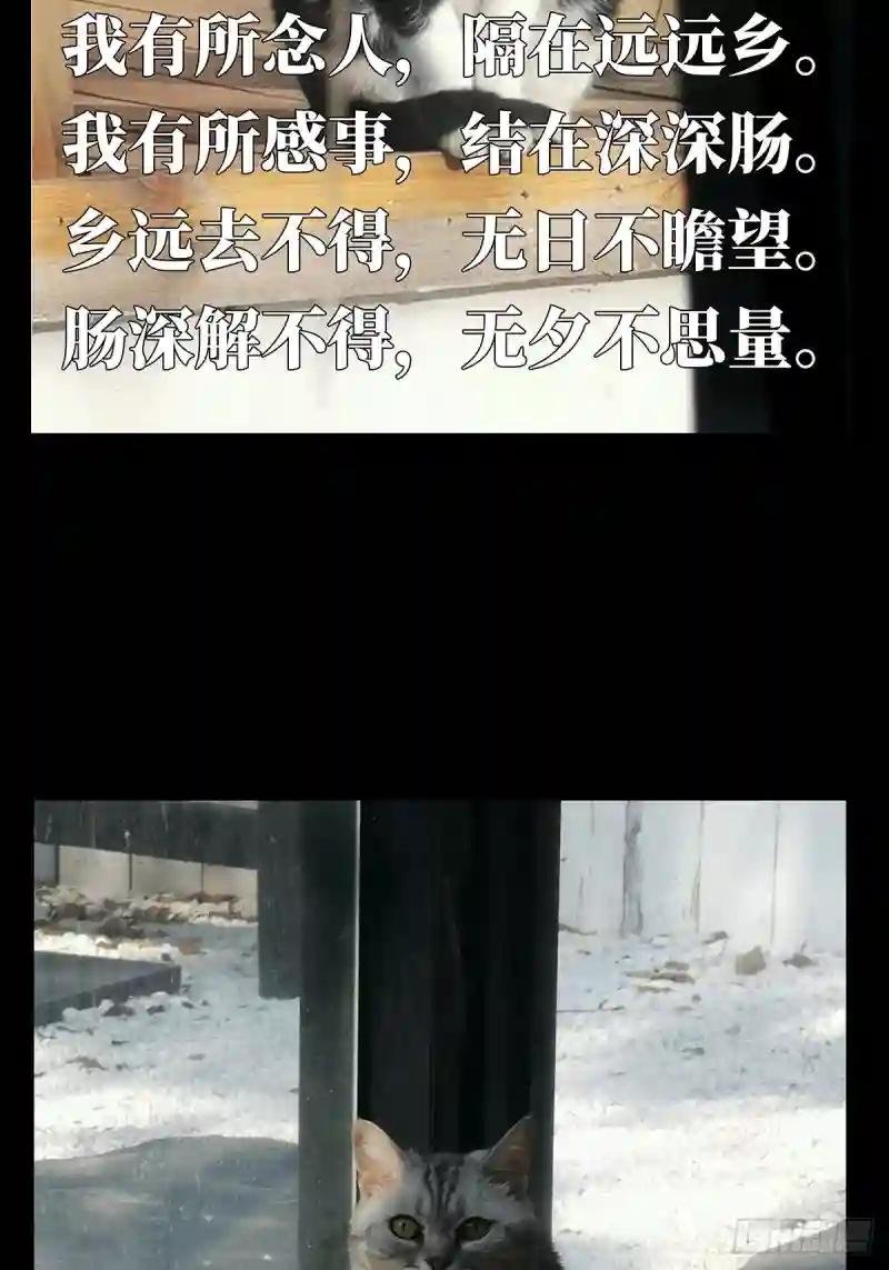 第六十九章\/至死不渝中