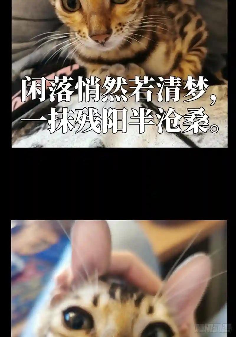 第七十章\/至死不渝下