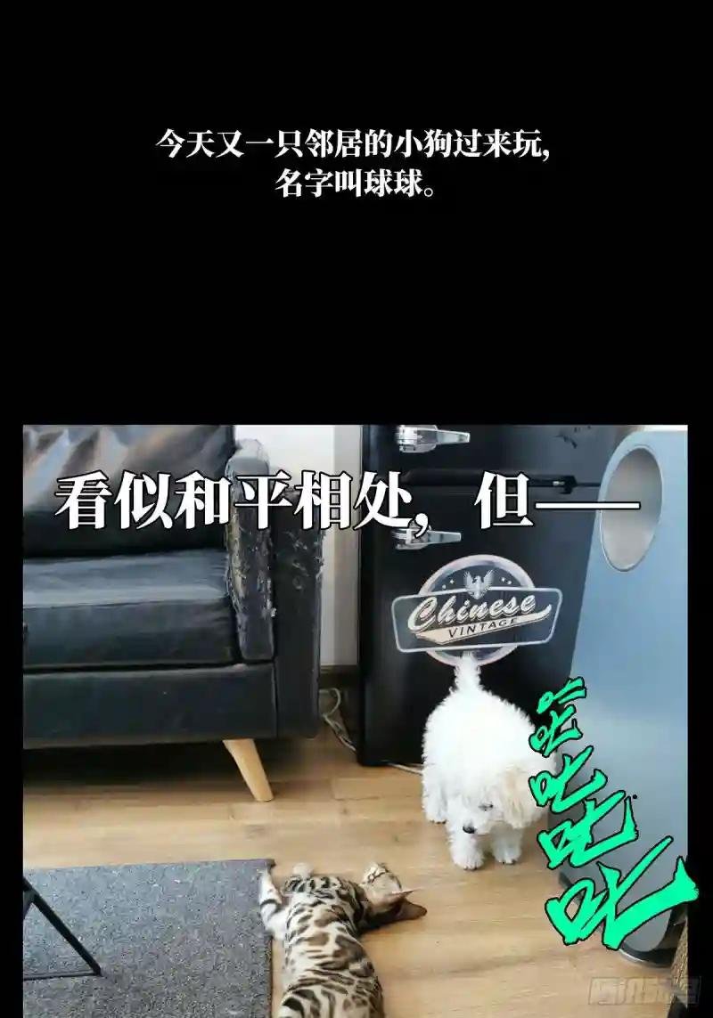 第七十二章\/她中