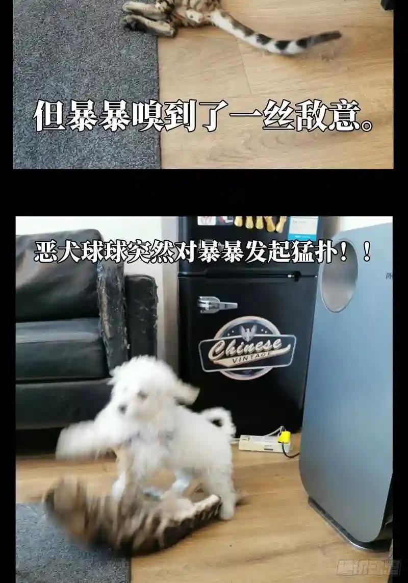 第七十二章\/她中