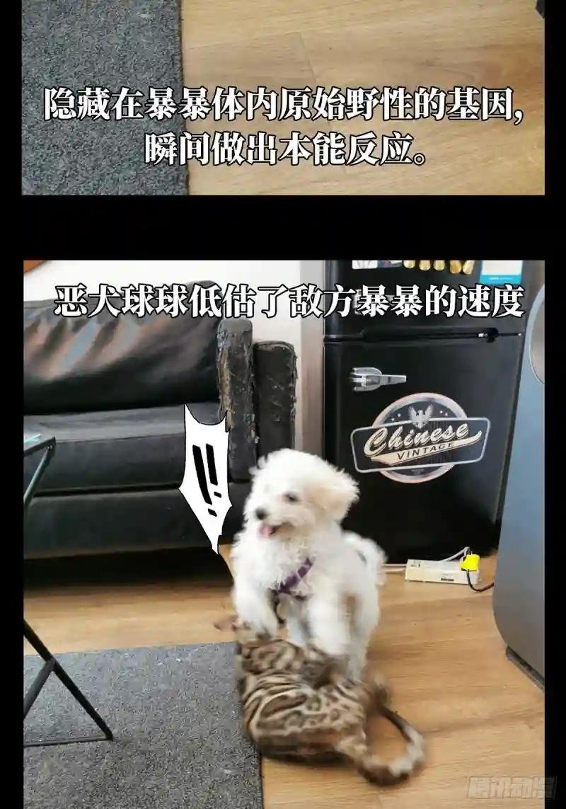 第七十二章\/她中