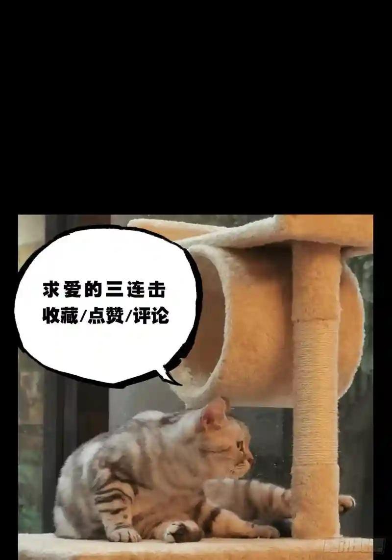 第七十五章\/真相中